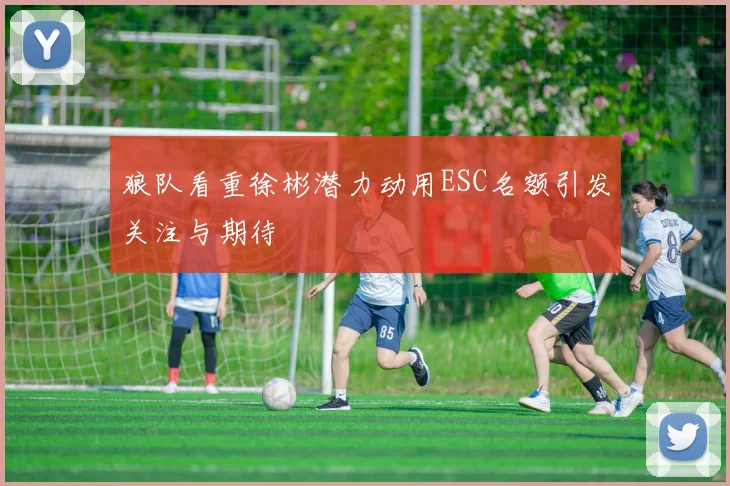 狼队看重徐彬潜力动用ESC名额引发关注与期待