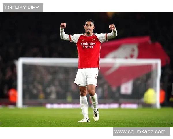 阿森纳旧将弗拉米尼商业成功资产超越克伦克达百亿镑 阿森纳旧将弗拉米尼商业成功资产超越克伦克达百亿镑